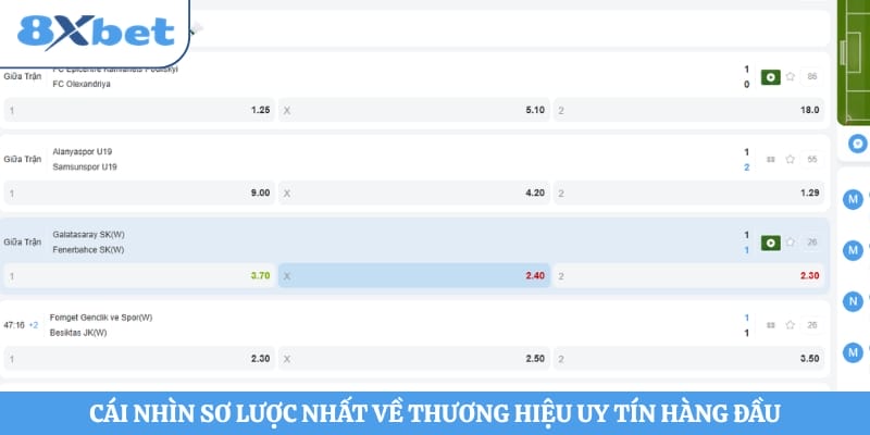 Cái nhìn sơ lược nhất về thương hiệu uy tín hàng đầu