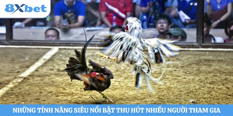 Những tính năng siêu nổi bật thu hút nhiều người tham gia