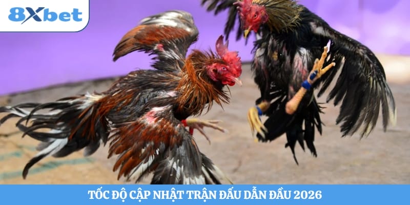 Tốc độ cập nhật trận đấu dẫn đầu 2026